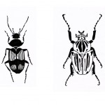 https://www.hlinovska.com/files/gimgs/th-53_brouci2.jpg