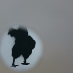 https://www.hlinovska.com/files/gimgs/th-59_DSC_6943.jpg