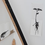 https://www.hlinovska.com/files/gimgs/th-73_07_v2.jpg